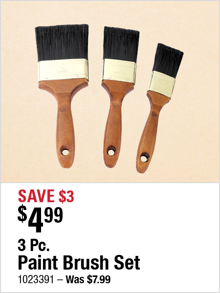 3 Pc. Paint Brush Set